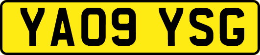 YA09YSG
