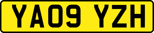 YA09YZH