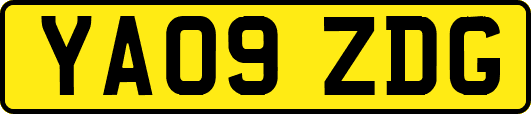 YA09ZDG
