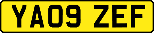 YA09ZEF