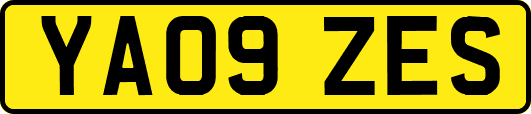 YA09ZES