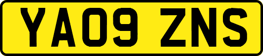 YA09ZNS