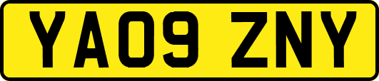 YA09ZNY