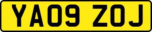 YA09ZOJ
