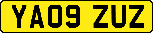 YA09ZUZ