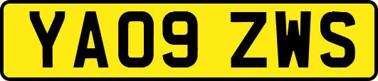 YA09ZWS