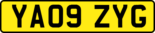 YA09ZYG