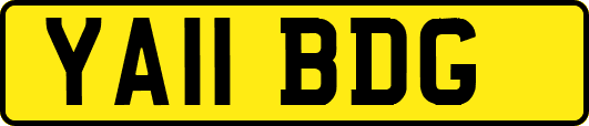 YA11BDG