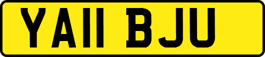YA11BJU