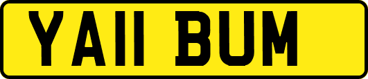 YA11BUM