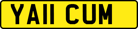 YA11CUM