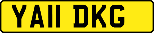 YA11DKG