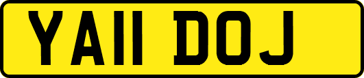 YA11DOJ