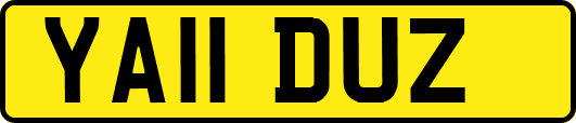 YA11DUZ