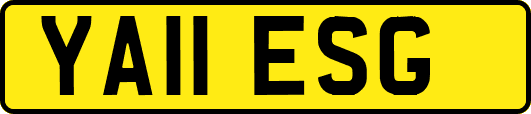 YA11ESG
