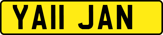 YA11JAN