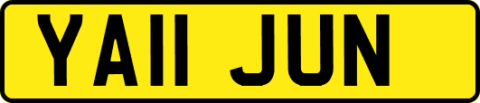 YA11JUN