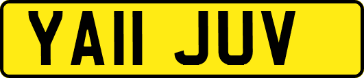 YA11JUV
