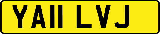 YA11LVJ