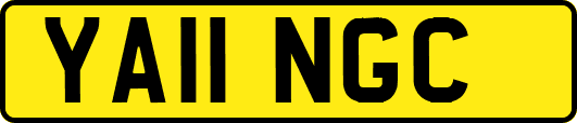 YA11NGC