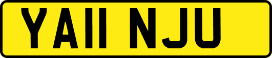YA11NJU