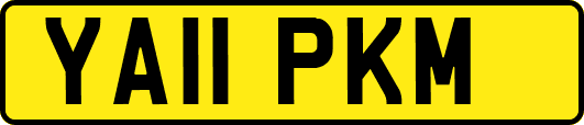 YA11PKM