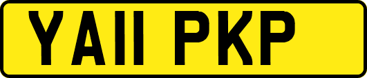YA11PKP