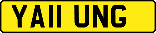 YA11UNG
