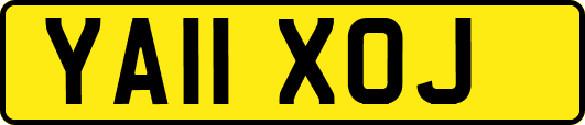 YA11XOJ