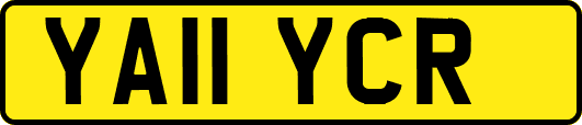 YA11YCR