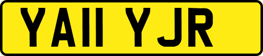 YA11YJR
