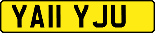 YA11YJU