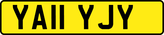 YA11YJY