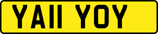 YA11YOY
