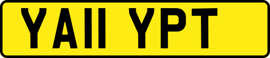 YA11YPT