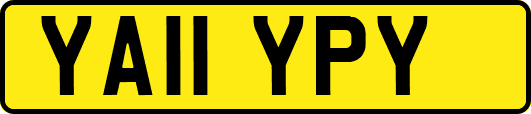 YA11YPY