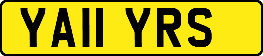YA11YRS