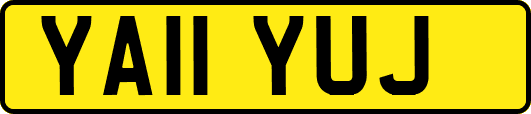 YA11YUJ