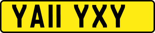 YA11YXY