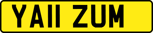 YA11ZUM
