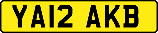 YA12AKB