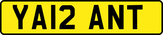 YA12ANT