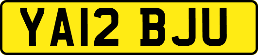 YA12BJU