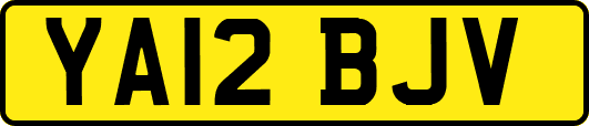 YA12BJV