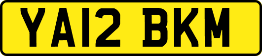 YA12BKM