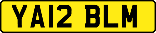 YA12BLM