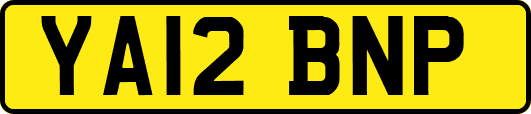YA12BNP