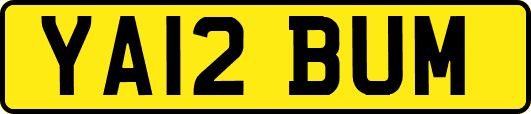 YA12BUM