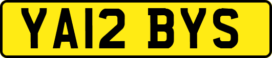 YA12BYS