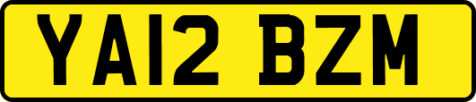YA12BZM